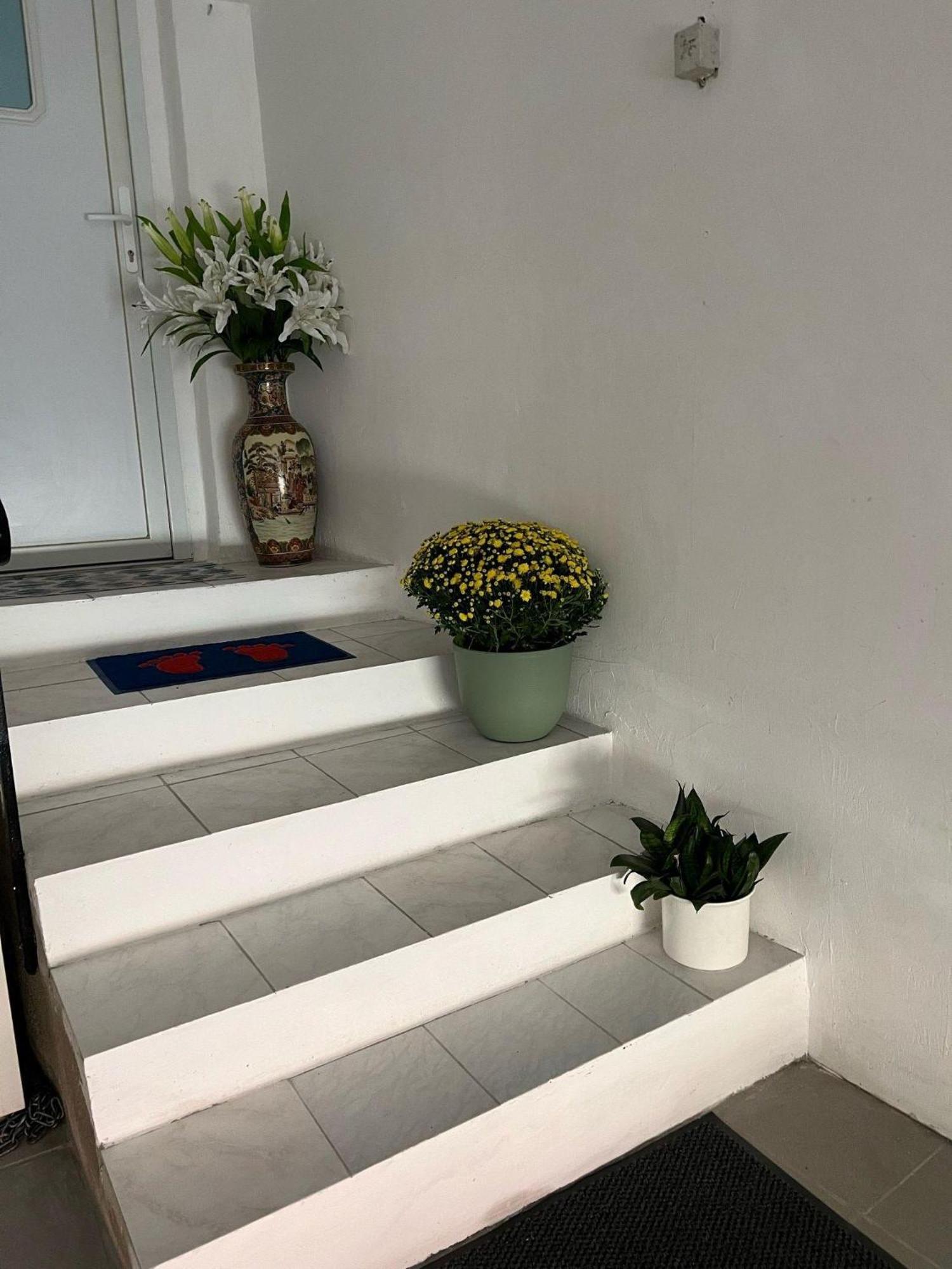Linh'S Ferienwohnung Saarburg Eksteriør bilde